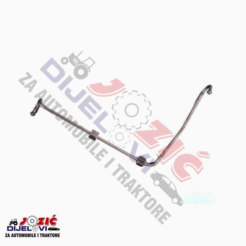 Daisy on the Ohoopee